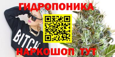 мяу мяу мука Татарск
