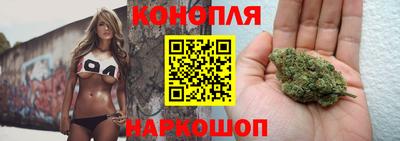 мяу мяу мука Татарск